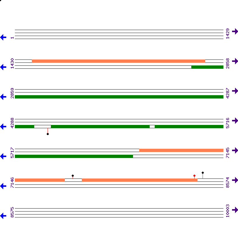 Genome View