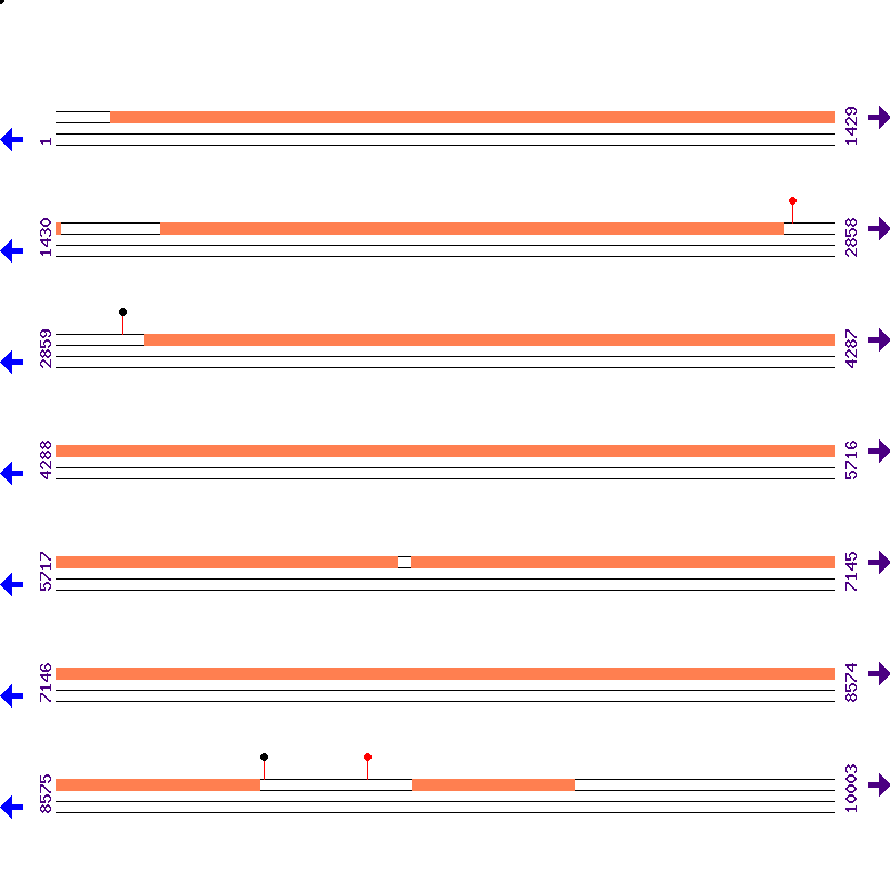 Genome View