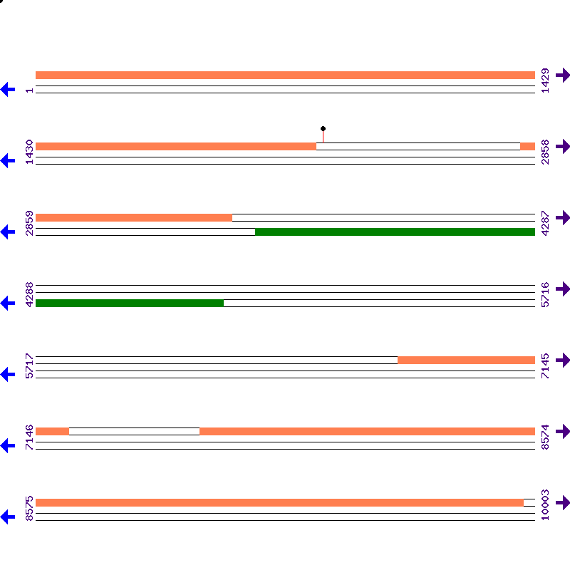 Genome View