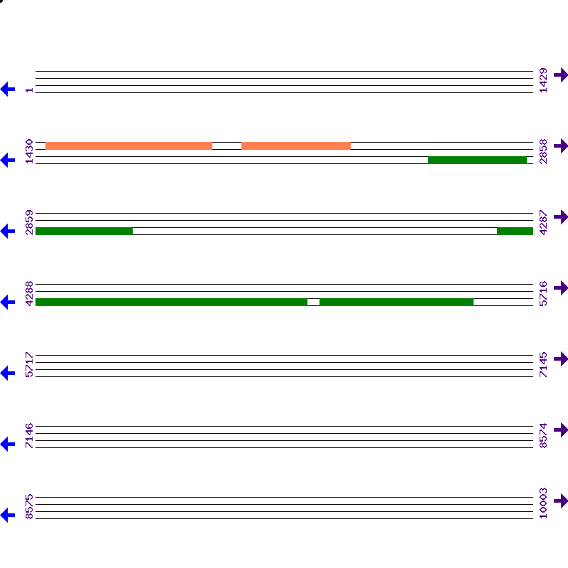 Genome View