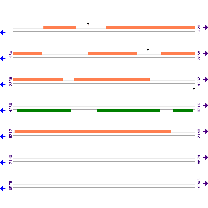 Genome View