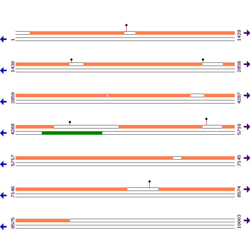 Genome View