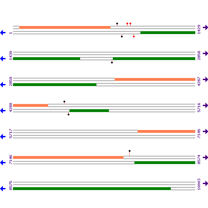 Genome View