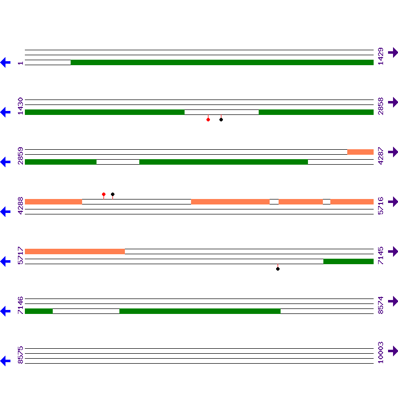Genome View