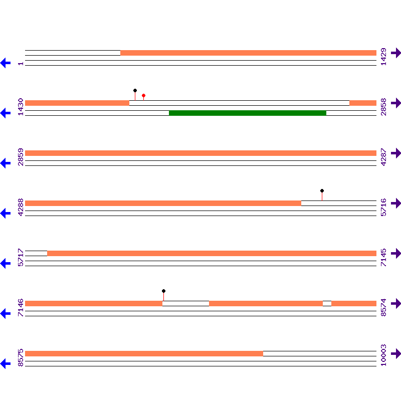Genome View