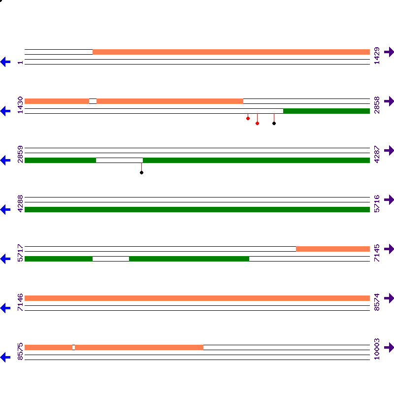 Genome View