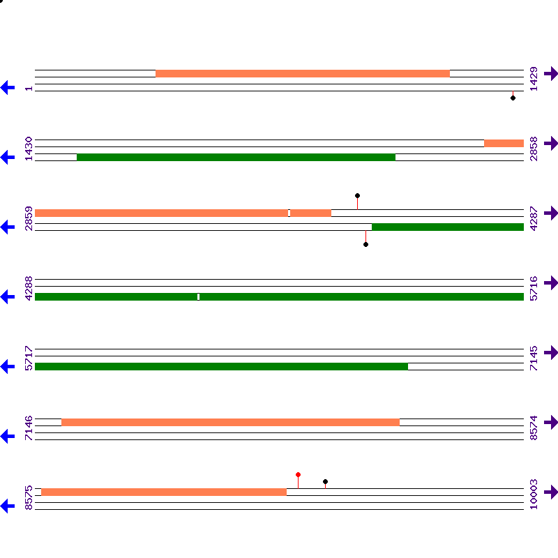 Genome View