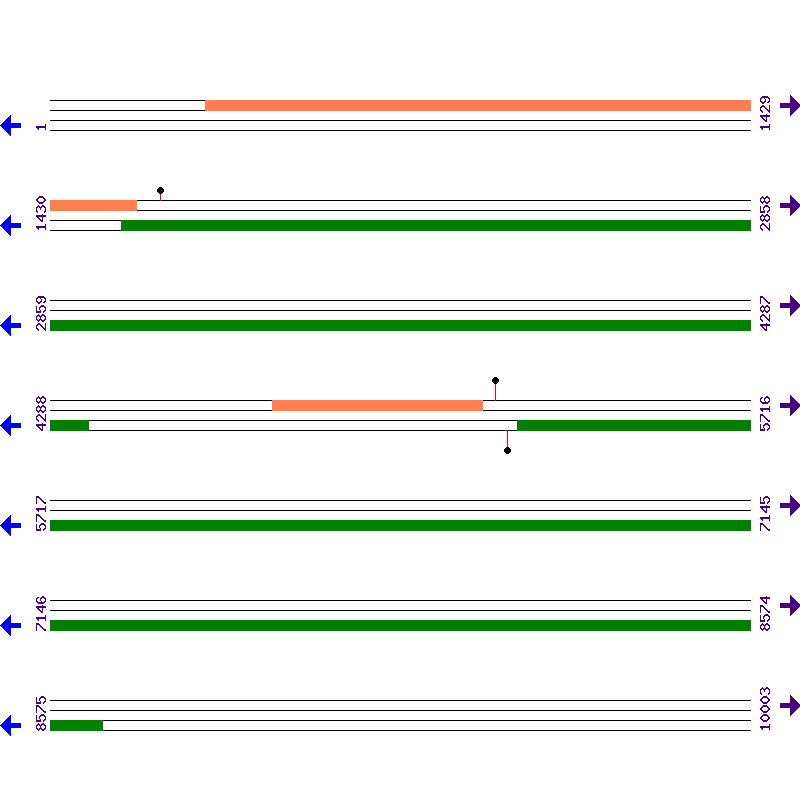 Genome View