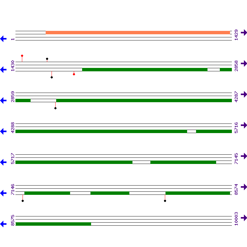 Genome View