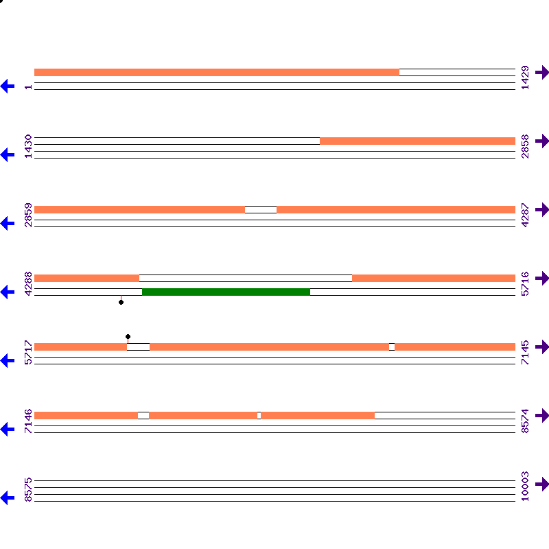 Genome View