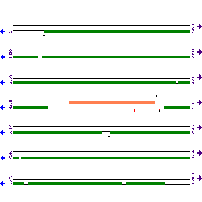 Genome View