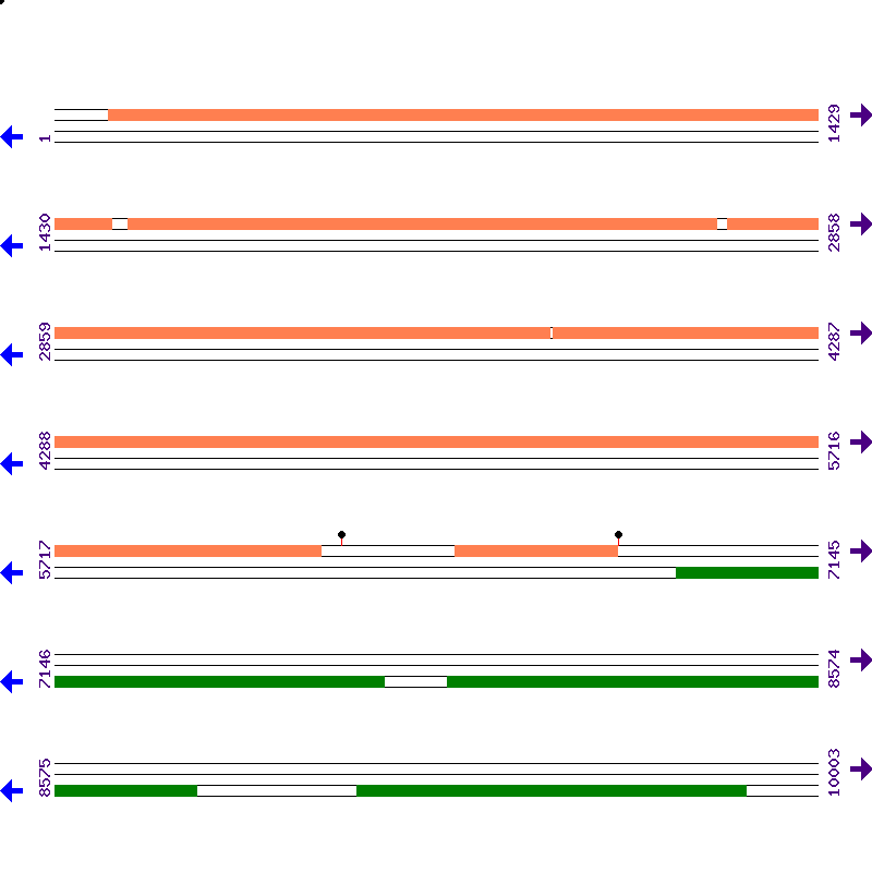 Genome View