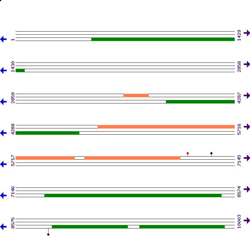 Genome View