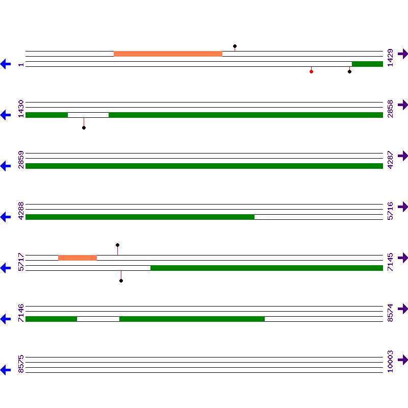 Genome View