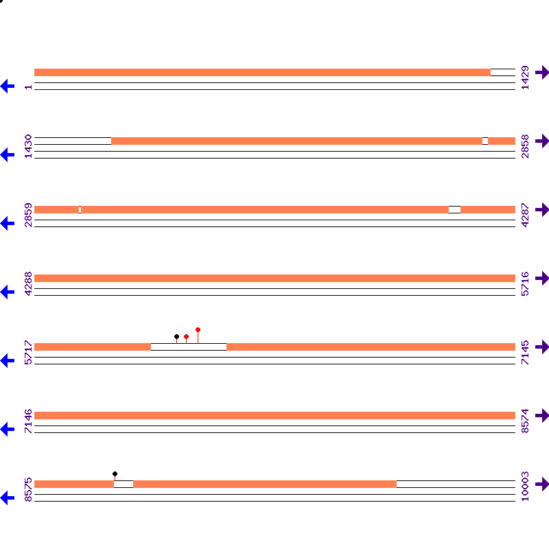 Genome View