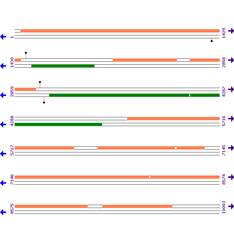 Genome View