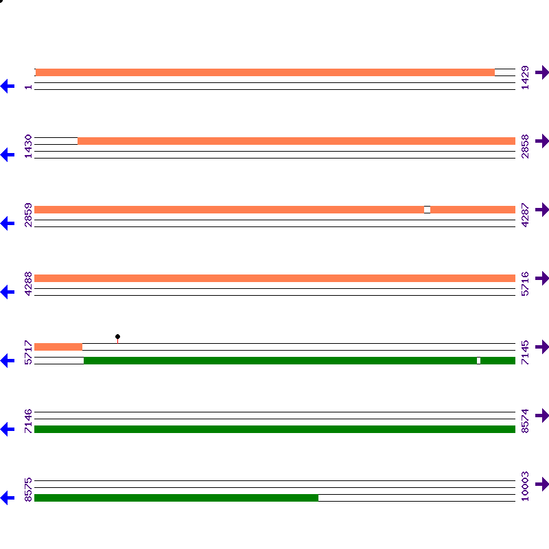 Genome View