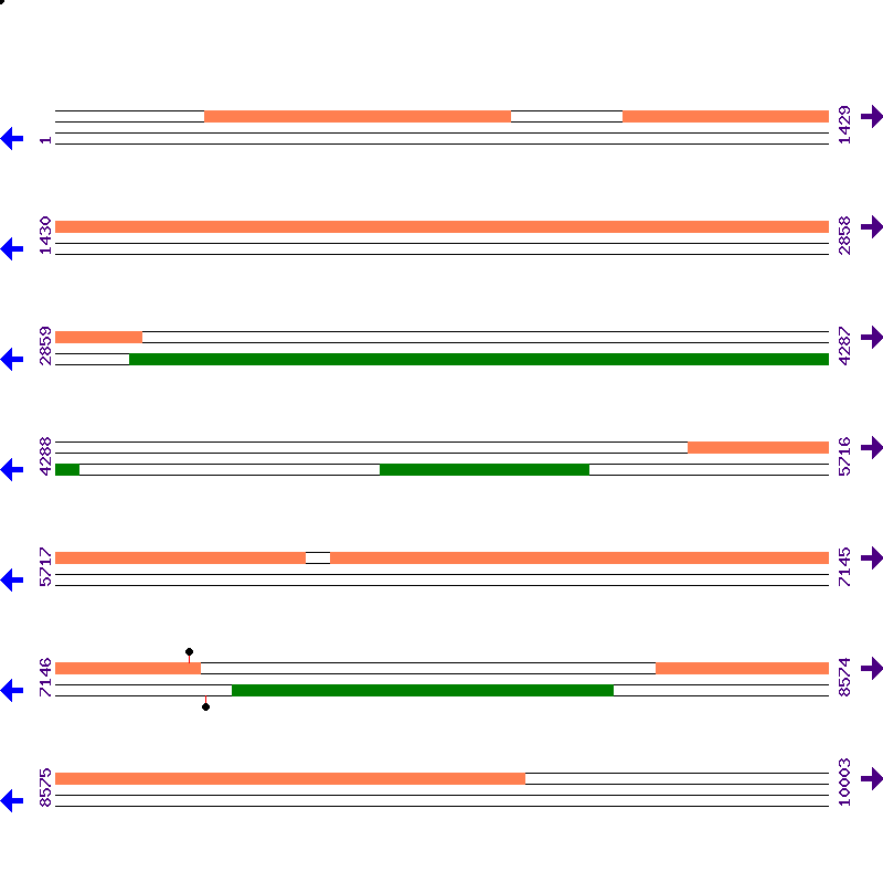 Genome View
