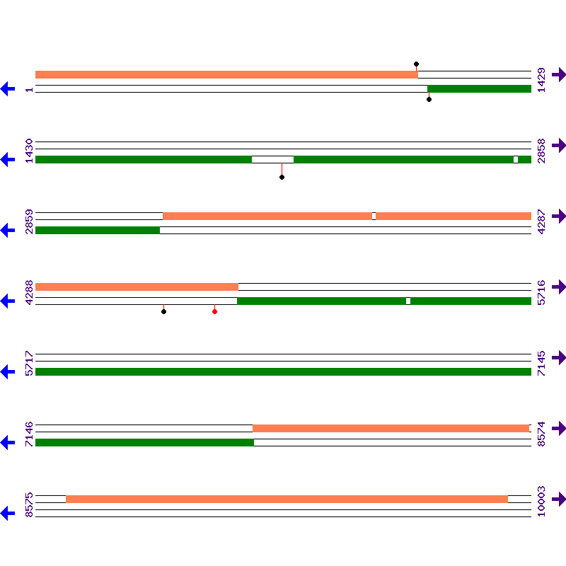 Genome View