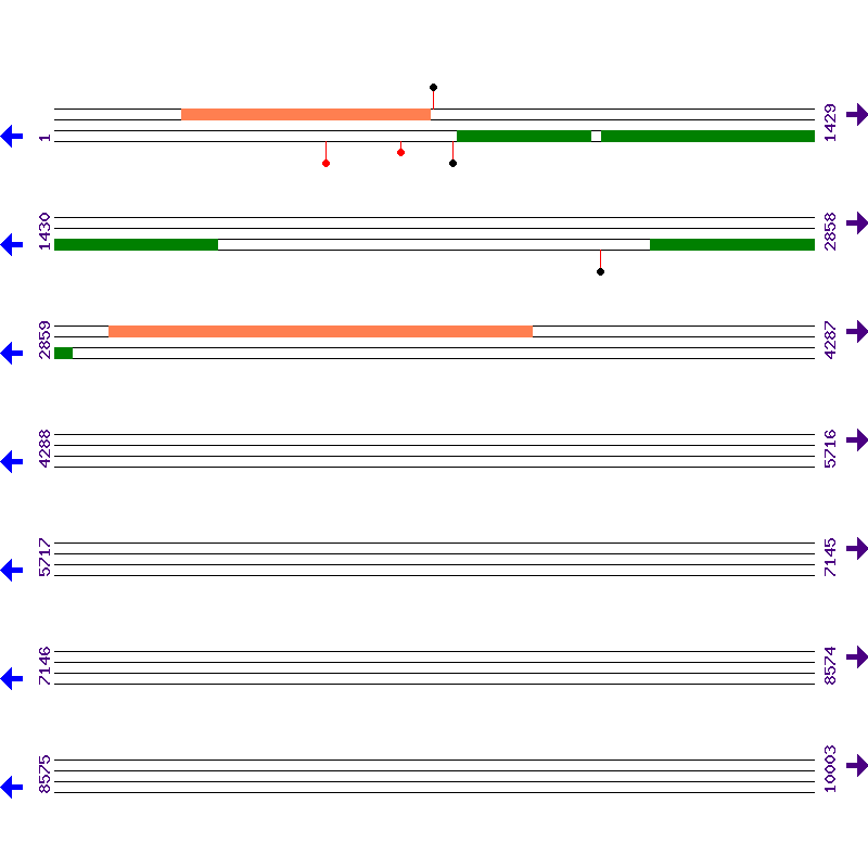 Genome View