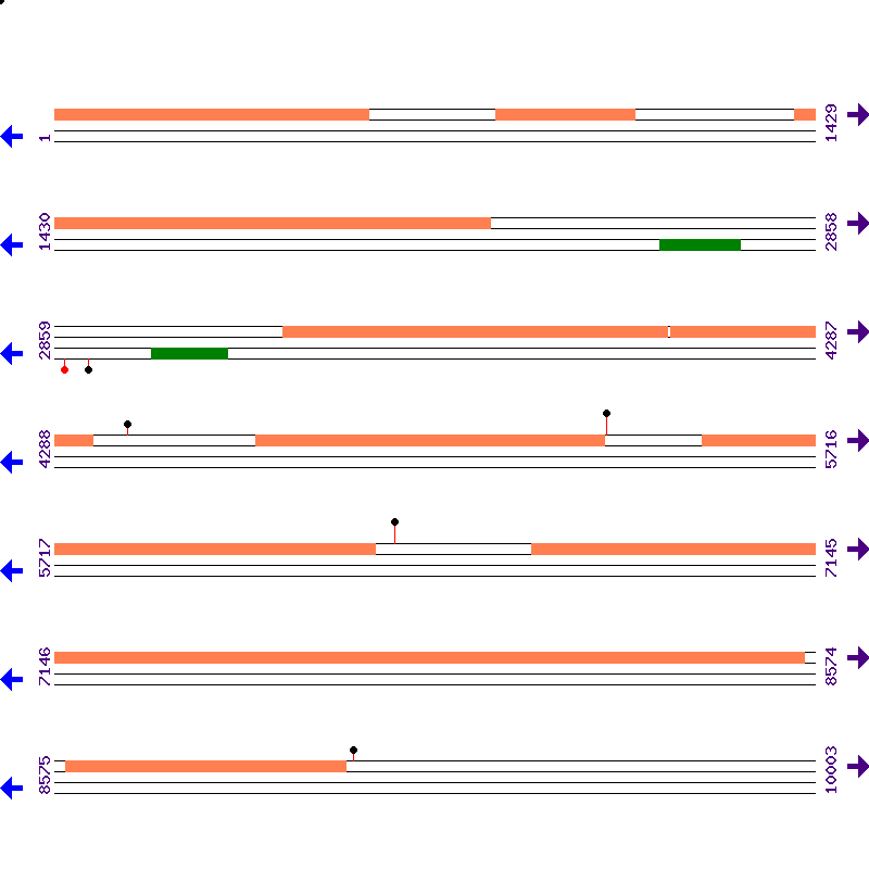 Genome View