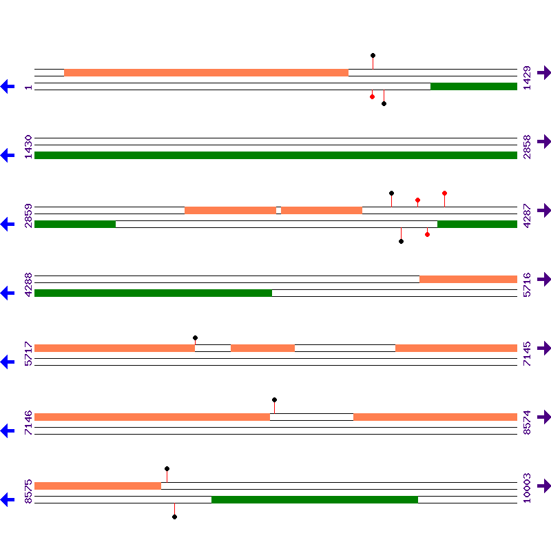 Genome View