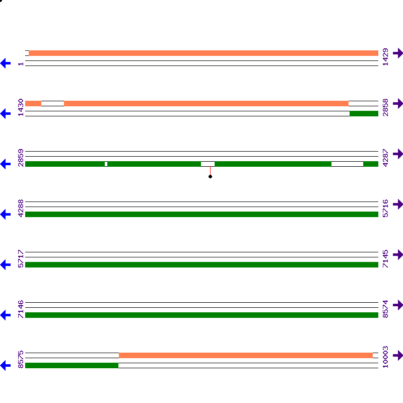 Genome View