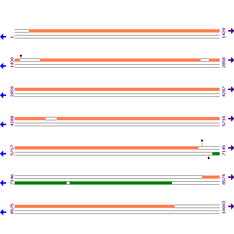 Genome View