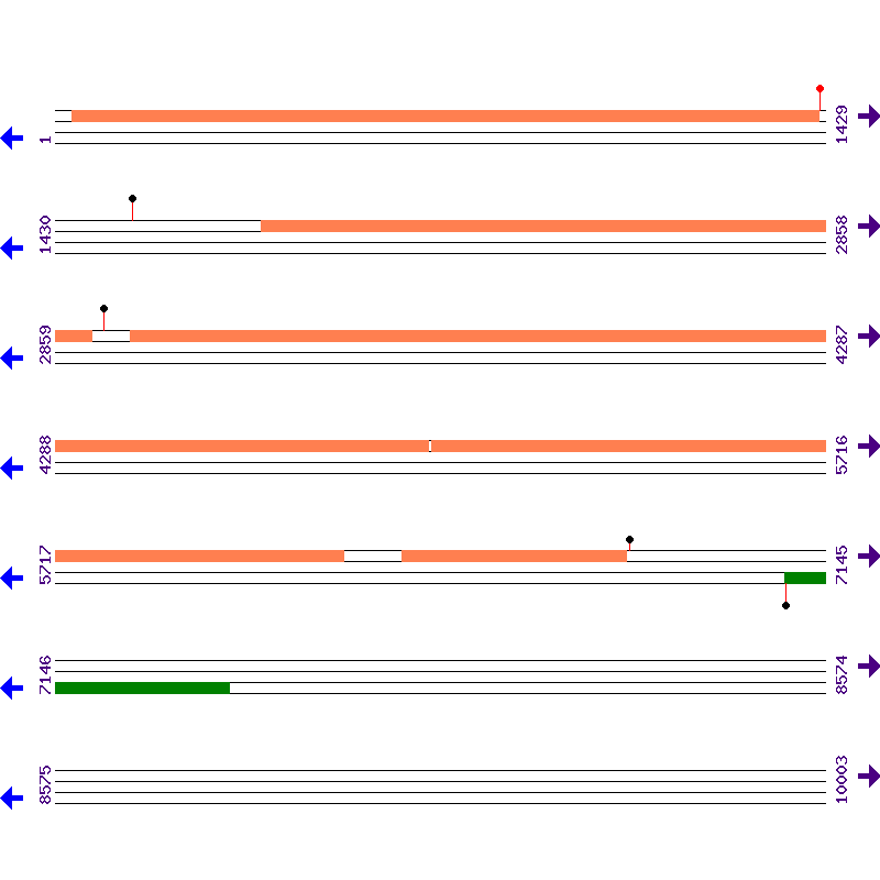 Genome View