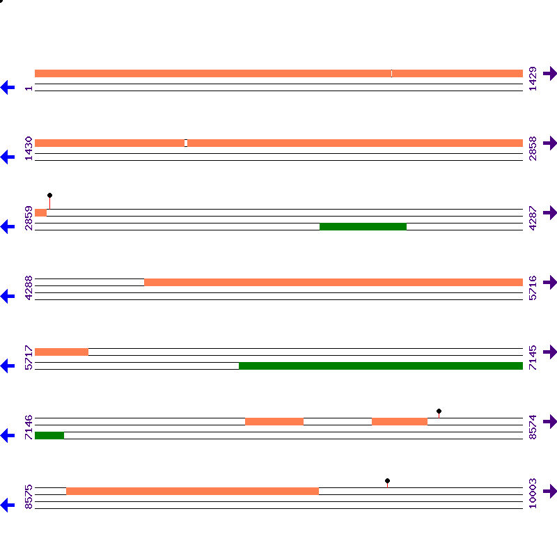 Genome View