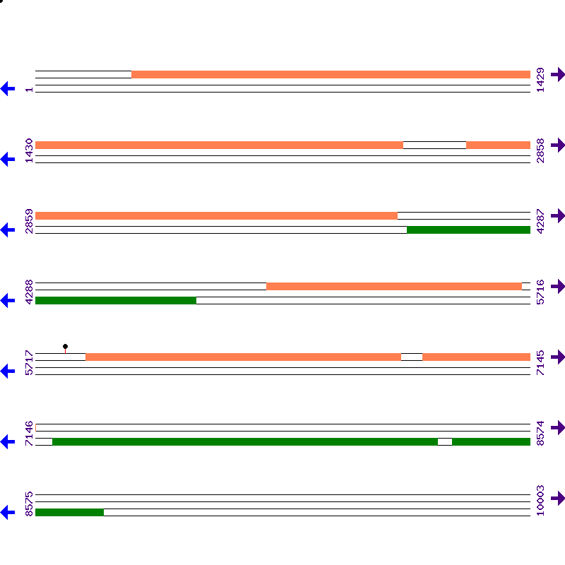 Genome View