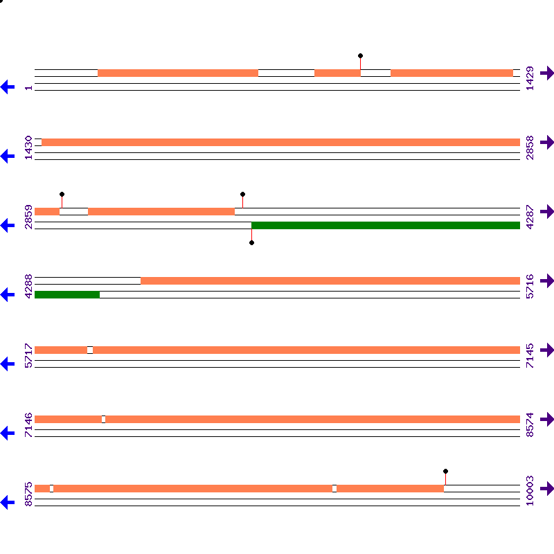 Genome View