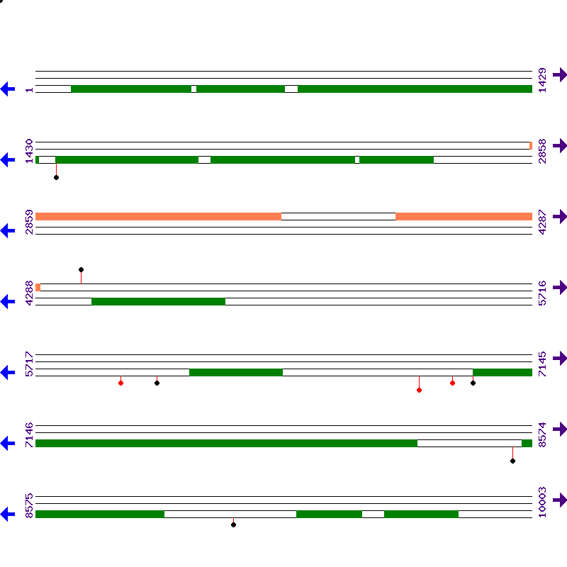 Genome View
