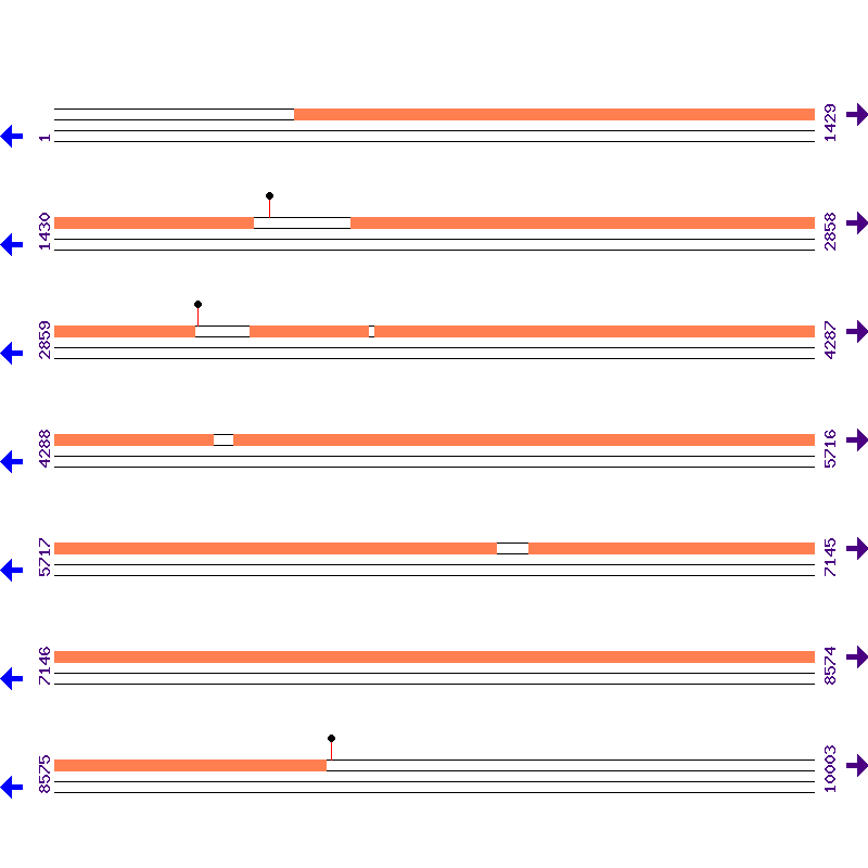 Genome View