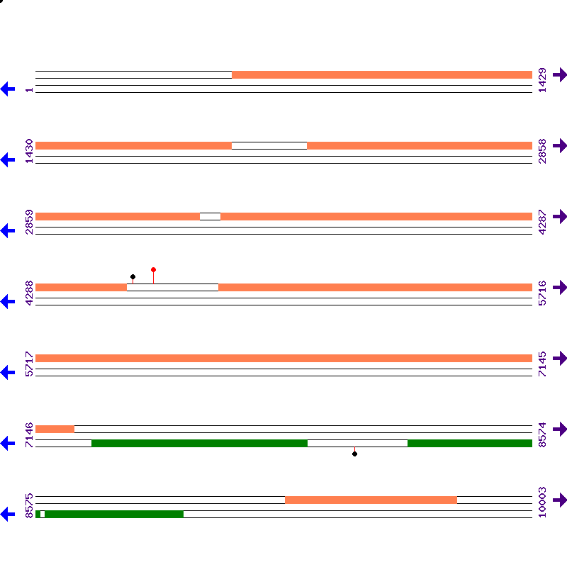 Genome View