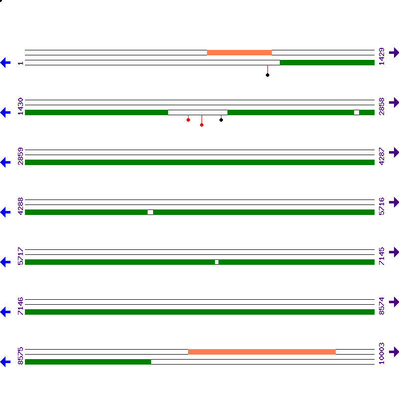Genome View