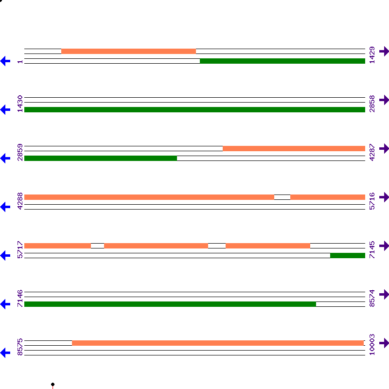 Genome View