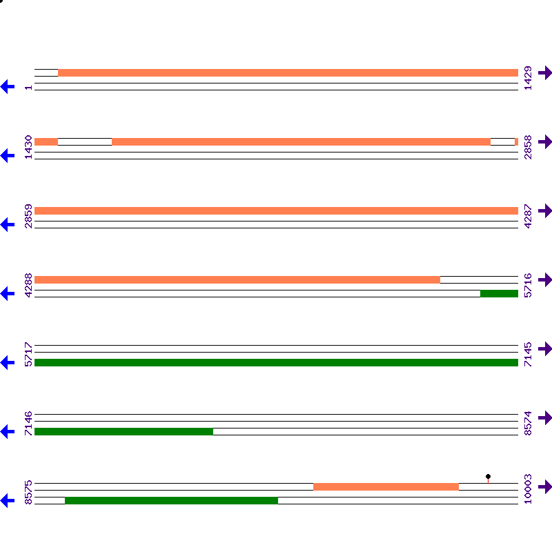 Genome View