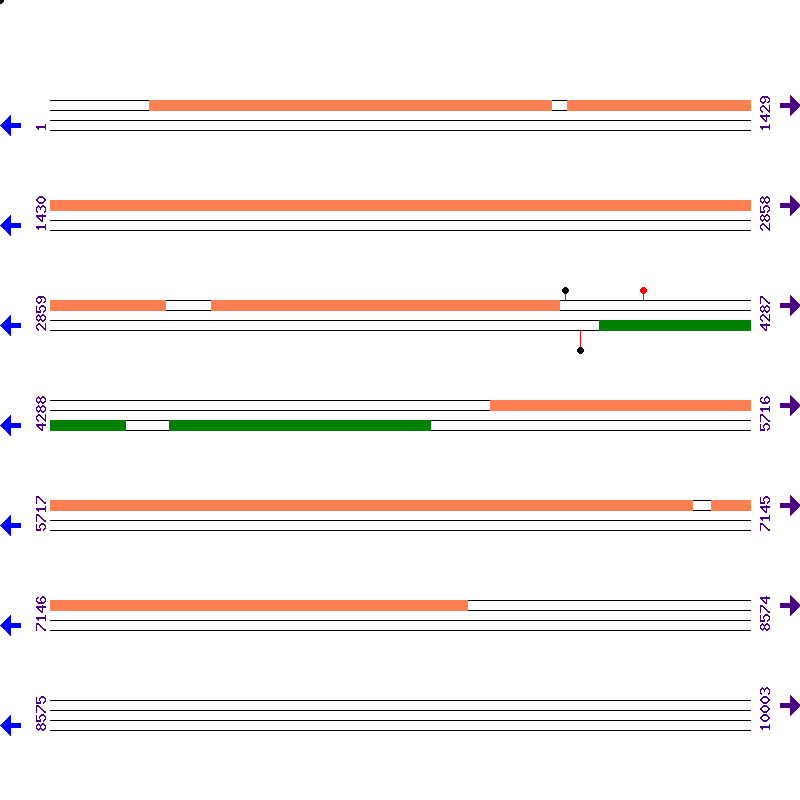 Genome View