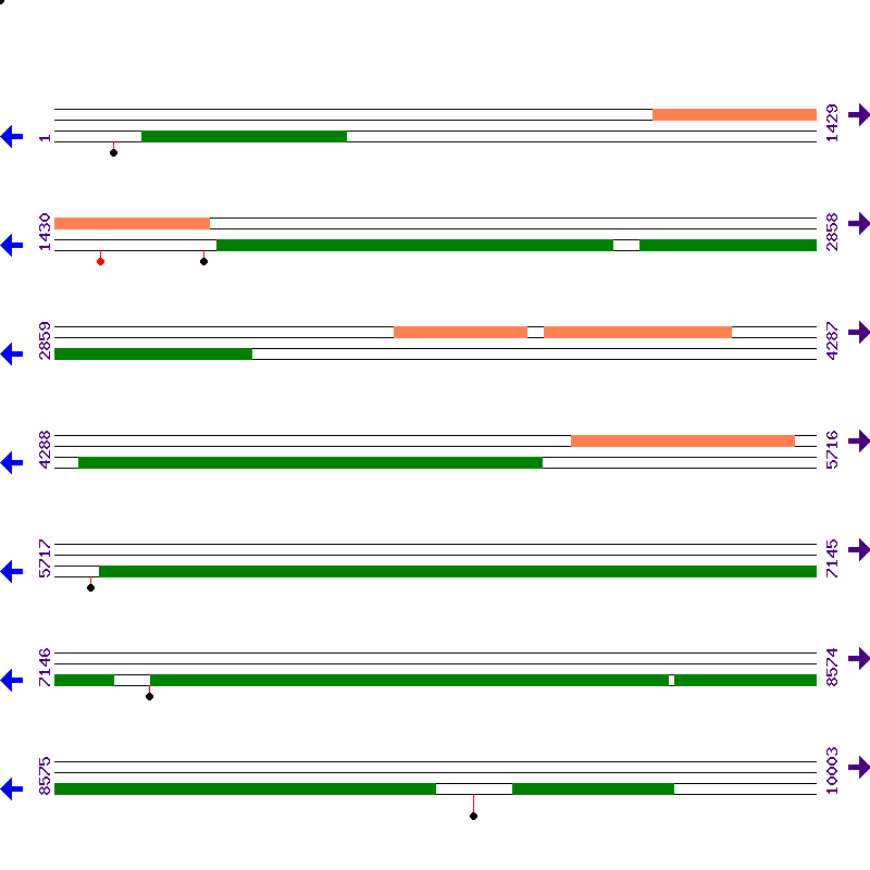Genome View