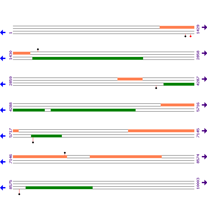Genome View