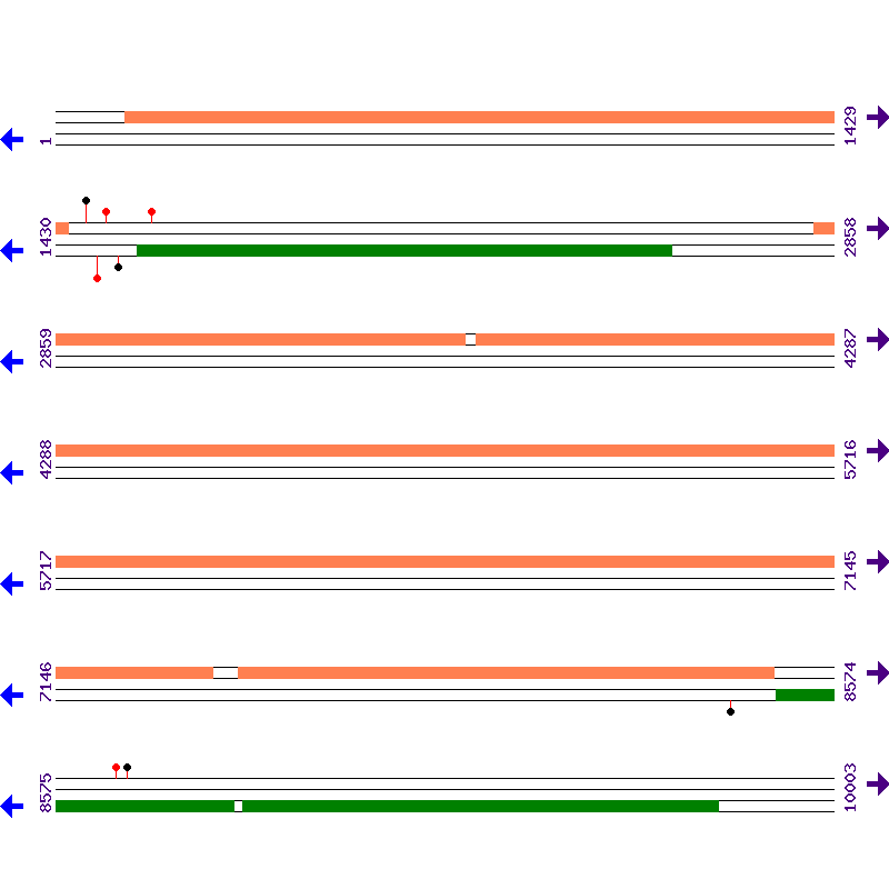 Genome View