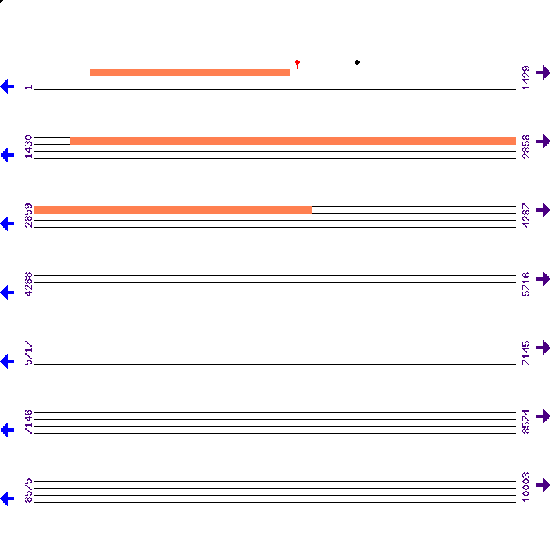 Genome View