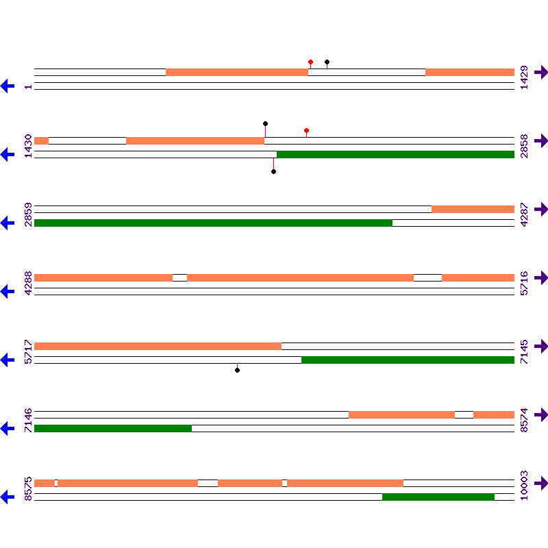 Genome View