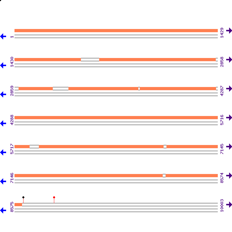 Genome View