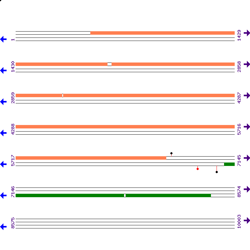 Genome View
