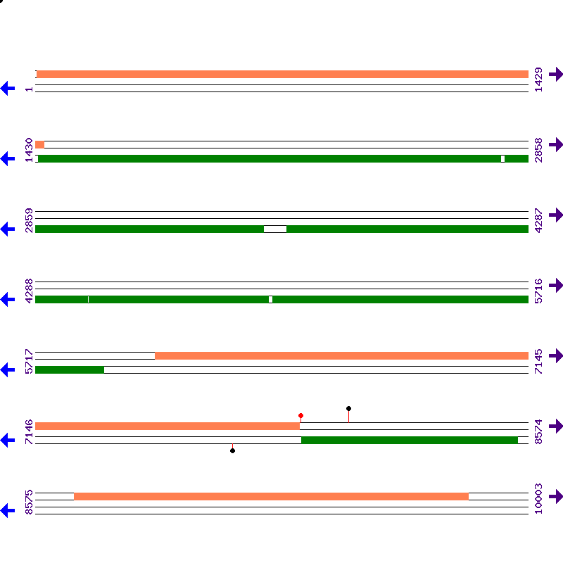 Genome View