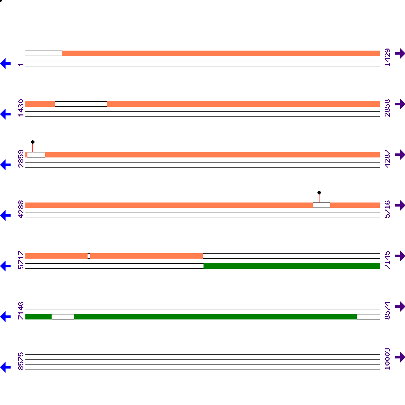 Genome View