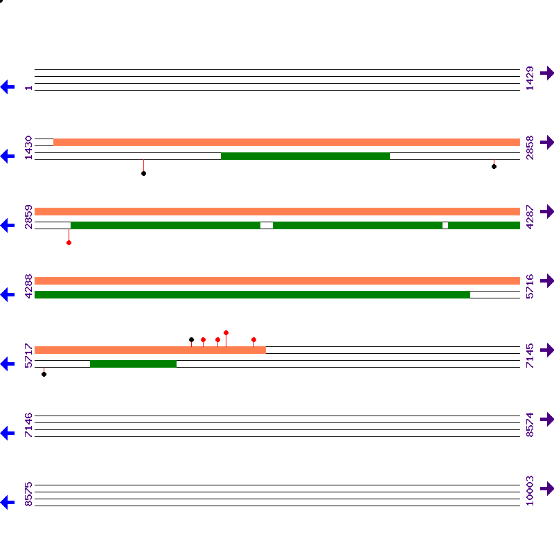 Genome View
