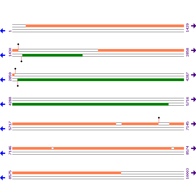 Genome View